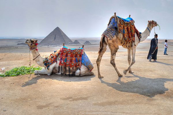 Cairo & Sharm El Sheikh 3