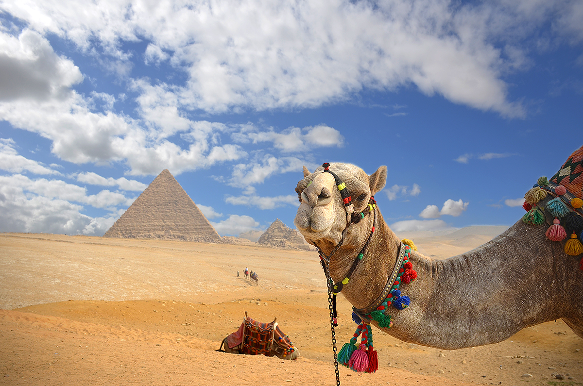 Cairo & El Minya 2