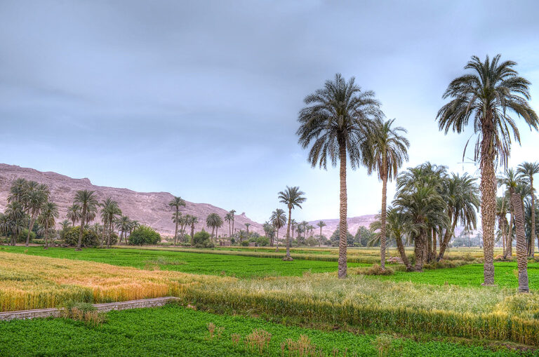Cairo & El Minya 5